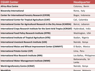 Lots of cows on the road. The way from postdoc to docent in East Africa and India