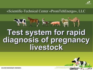 TTest system for rapidest system for rapid
diagnosis of pregnancydiagnosis of pregnancy
livestocklivestock
«Scientific-Technical Center «PromTehEnergo», LLC
 