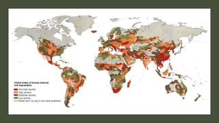 Climate Adaptation, Mitigation and Regenerative Agriculture | PPTX