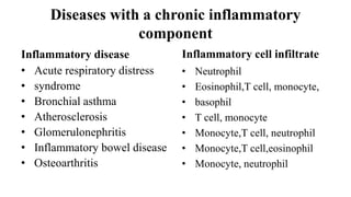 Diseases with a chronic inflammatory
component
Inflammatory disease
• Acute respiratory distress
• syndrome
• Bronchial asthma
• Atherosclerosis
• Glomerulonephritis
• Inflammatory bowel disease
• Osteoarthritis
Inflammatory cell infiltrate
• Neutrophil
• Eosinophil,T cell, monocyte,
• basophil
• T cell, monocyte
• Monocyte,T cell, neutrophil
• Monocyte,T cell,eosinophil
• Monocyte, neutrophil
 