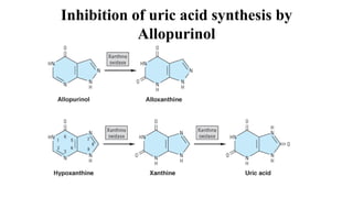 Inhibition of uric acid synthesis by
Allopurinol
 