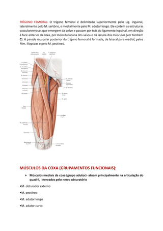 TRÍGONO FEMORAL: O trígono femoral é delimitado superiormente pelo Lig. inguinal,
lateralmente pelo M. sartório, e medialmente pelo M. adutor longo. Ele contém as estruturas
vasculonervosas que emergem da pelve e passam por trás do ligamento inguinal, em direção
à face anterior da coxa, por meio da lacuna dos vasos e da lacuna dos músculos (ver também
C). A parede muscular posterior do trígono femoral é formada, de lateral para medial, pelos
Mm. iliopsoas e pelo M. pectíneo.
MÚSCULOS DA COXA (GRUPAMENTOS FUNCIONAIS):
➢ Músculos mediais da coxa (grupo adutor)- atuam principalmente na articulação do
quadril, inervados pelo nervo obturatório
•M. obturador externo
•M. pectíneo
•M. adutor longo
•M. adutor curto
 