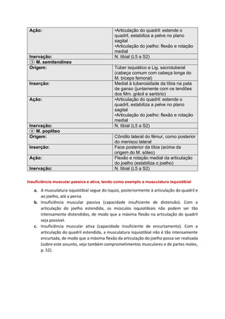 Ação: •Articulação do quadril: estende o
quadril, estabiliza a pelve no plano
sagital
•Articulação do joelho: flexão e rotação
medial
Inervação: N. tibial (L5 a S2)
③ M. semitendíneo
Origem: Túber isquiático e Lig. sacrotuberal
(cabeça comum com cabeça longa do
M. bíceps femoral)
Inserção: Medial à tuberosidade da tíbia na pata
de ganso (juntamente com os tendões
dos Mm. grácil e sartório)
Ação: •Articulação do quadril: estende o
quadril, estabiliza a pelve no plano
sagital
•Articulação do joelho: flexão e rotação
medial
Inervação: N. tibial (L5 a S2)
④ M. poplíteo
Origem: Côndilo lateral do fêmur, corno posterior
do menisco lateral
Inserção: Face posterior da tíbia (acima da
origem do M. sóleo)
Ação: Flexão e rotação medial da articulação
do joelho (estabiliza o joelho)
Inervação: N. tibial (L5 a S2)
Insuficiência muscular passiva e ativa, tendo como exemplo a musculatura isquiotibial
a. A musculatura isquiotibial segue do ísquio, posteriormente à articulação do quadril e
ao joelho, até a perna.
b. Insuficiência muscular passiva (capacidade insuficiente de distensão). Com a
articulação do joelho estendida, os músculos isquiotibiais não podem ser tão
intensamente distendidos, de modo que a máxima flexão na articulação do quadril
seja possível.
c. Insuficiência muscular ativa (capacidade insuficiente de encurtamento). Com a
articulação do quadril estendida, a musculatura isquiotibial não é tão intensamente
encurtada, de modo que a máxima flexão da articulação do joelho possa ser realizada
(sobre este assunto, veja também comprometimentos musculares e de partes moles,
p. 52).
 