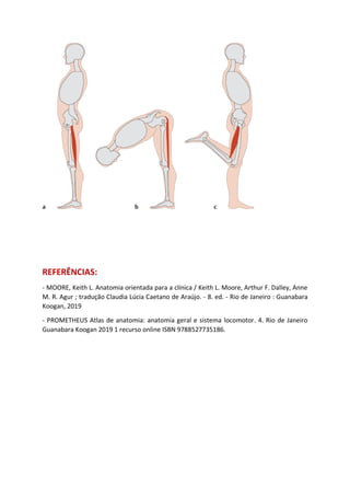 REFERÊNCIAS:
- MOORE, Keith L. Anatomia orientada para a clínica / Keith L. Moore, Arthur F. Dalley, Anne
M. R. Agur ; tradução Claudia Lúcia Caetano de Araújo. - 8. ed. - Rio de Janeiro : Guanabara
Koogan, 2019
- PROMETHEUS Atlas de anatomia: anatomia geral e sistema locomotor. 4. Rio de Janeiro
Guanabara Koogan 2019 1 recurso online ISBN 9788527735186.
 