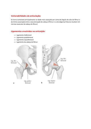 Vulnerabilidades da articulação:
Se torna vulnerável principalmente na idade mais avançada por conta do ângulo do colo do fêmur e
da íntima associação entre a vascularização da cabeça d fêmur e o colo (algumas fraturas resultam em
necrose avascular da cabeça do fêmur)
Ligamentos envolvidos na articulção:
→ Ligamento iliofemoral
→ Ligamento pubofemoral
→ Ligamento isquiofemoral
→ Ligamento da cabeça do fêmur
 