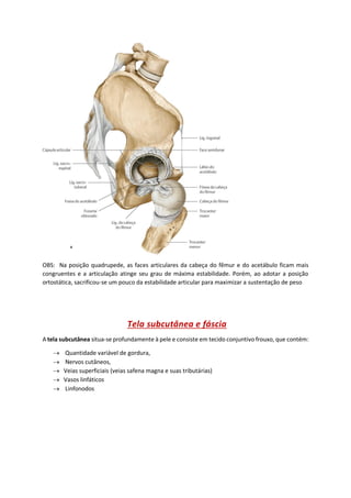 OBS: Na posição quadrupede, as faces articulares da cabeça do fêmur e do acetábulo ficam mais
congruentes e a articulação atinge seu grau de máxima estabilidade. Porém, ao adotar a posição
ortostática, sacrificou-se um pouco da estabilidade articular para maximizar a sustentação de peso
Tela subcutânea e fáscia
A tela subcutânea situa-se profundamente à pele e consiste em tecido conjuntivo frouxo, que contém:
→ Quantidade variável de gordura,
→ Nervos cutâneos,
→ Veias superficiais (veias safena magna e suas tributárias)
→ Vasos linfáticos
→ Linfonodos
 