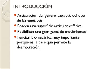 INTRODUCCIÓN
Articulación  del género diartrosis del tipo
 de las enartrosis
Poseen una superficie articular esférica
P...