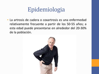 Epidemiologia
• La artrosis de cadera o coxartrosis es una enfermedad
relativamente frecuente a partir de los 50-55 años; a
esta edad puede presentarse en alrededor del 20-30%
de la población.
 