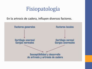 Fisiopatología
En la artrosis de cadera, influyen diversos factores.
 