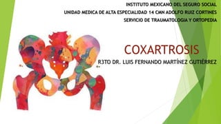 COXARTROSIS
R3TO DR. LUIS FERNANDO MARTÍNEZ GUTIÉRREZ
INSTITUTO MEXICANO DEL SEGURO SOCIAL
UNIDAD MEDICA DE ALTA ESPECIALIDAD 14 CMN ADOLFO RUIZ CORTINES
SERVICIO DE TRAUMATOLOGIA Y ORTOPEDIA
 