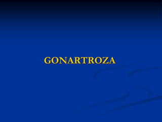 GONARTROZA
 