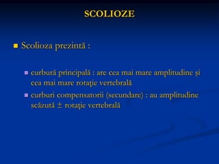 SCOLIOZE
 Scolioza prezintă :
 curbură principală : are cea mai mare amplitudine şi
cea mai mare rotaţie vertebrală
 curburi compensatorii (secundare) : au amplitudine
scăzută ± rotaţie vertebrală
 