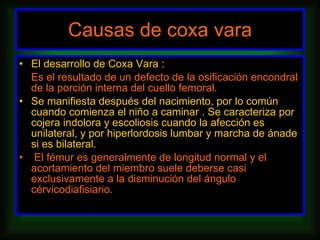 El desarrollo de Coxa Vara : Es el resultado de un defecto de la osificación encondral de la porción interna del cuello femoral.  Se manifiesta después del nacimiento, por lo común cuando comienza el niño a caminar . Se caracteriza por cojera indolora y escoliosis cuando la afección es unilateral, y por hiperlordosis lumbar y marcha de ánade si es bilateral. El fémur es generalmente de longitud normal y el acortamiento del miembro suele deberse casi exclusivamente a la disminución del ángulo cérvicodiafisiario. Causas de coxa vara 
