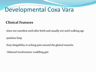 Developmental Coxa Vara
Clinical Features
-does not manifest until after birth and usually not until walking age
-painless limp
-Easy fatigability or aching pain around the gluteal muscles
- bilateral involvement: waddling gait
 