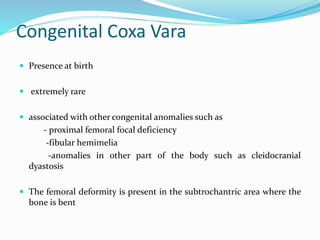 Congenital Coxa Vara
 Presence at birth
 extremely rare
 associated with other congenital anomalies such as
- proximal femoral focal deficiency
-fibular hemimelia
-anomalies in other part of the body such as cleidocranial
dyastosis
 The femoral deformity is present in the subtrochantric area where the
bone is bent
 