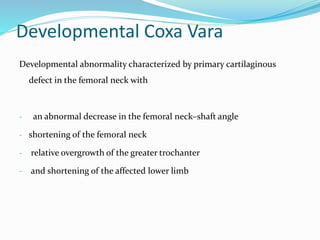 Developmental Coxa Vara
Developmental abnormality characterized by primary cartilaginous
defect in the femoral neck with
- an abnormal decrease in the femoral neck–shaft angle
- shortening of the femoral neck
- relative overgrowth of the greater trochanter
- and shortening of the affected lower limb
 