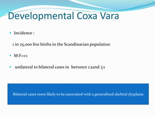 Developmental Coxa Vara
 Incidence :
1 in 25,000 live births in the Scandinavian population
 M:F=1:1
 unilateral to bilateral cases in between 1:2and 3:1
Bilateral cases more likely to be associated with a generalized skeletal dysplasia
 