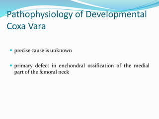 Pathophysiology of Developmental
Coxa Vara
 precise cause is unknown
 primary defect in enchondral ossification of the medial
part of the femoral neck
 