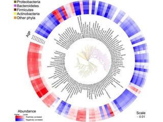 500,000 25mer probes