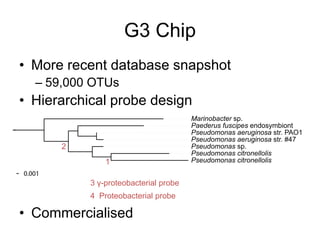 Example: Cystic Fibrosis90 samples from age-stratified cohort6 months to 72 yearsSputum and deep throat swabDifferent mutations and wide range of severitiesCommunity structure associated withLung functionMutation (∆f508 homo/heterozygous)AgeCox MJ et al. 2010 PLoS ONE 5(6): e11044
