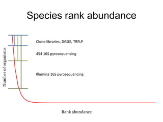 Species rank abundanceClone libraries, DGGE, TRFLP454 16S pyrosequencingNumber of organismsIllumina 16S pyrosequencingRank abundance