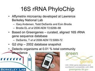 16S rRNA PhyloChipAffymetrix microarray developed at Lawrence Berkeley National LabGary Andersen, Todd DeSantis and EoinBrodieBrodieEL et al 2006 AEM 72:6288–98 Based on Greengenes – curated, aligned 16S rRNA gene sequence databaseDeSantis, Tet al 2006 AEM 72:5069-72G2 chip – 2002 database snapshotDetects organisms at 0.01 % total community abundance