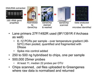 Lane primers 27F/1492R used (8F/1391R if Archaea as well)