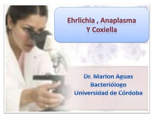 Ehrlichia , Anaplasma  y Coxiella  Dr. Marlon Aguas Bacteriólogo Universidad de Córdoba 