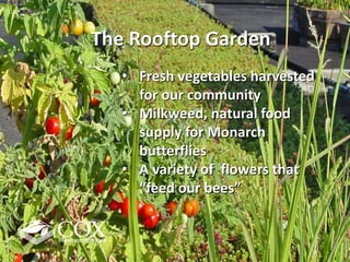 • Fresh vegetables harvested
for our community
• Milkweed, natural food
supply for Monarch
butterflies
• A variety of flowers that
“feed our bees”
The Rooftop Garden
 