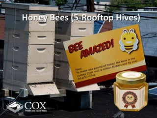 Honey Bees (5-Rooftop Hives)
 