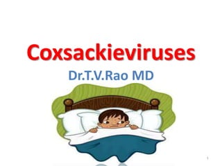 Coxsackieviruses
Dr.T.V.Rao MD
Dr.T.V.Rao MD 1
 