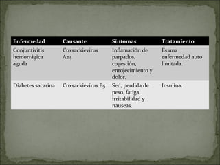 Enfermedad          Causante            Síntomas           Tratamiento
Conjuntivitis       Coxsackievirus      Inflamación de     Es una
hemorrágica         A24                 parpados,          enfermedad auto
aguda                                   cogestión,         limitada.
                                        enrojecimiento y
                                        dolor.
Diabetes sacarina   Coxsackievirus B5   Sed, perdida de    Insulina.
                                        peso, fatiga,
                                        irritabilidad y
                                        nauseas.
 