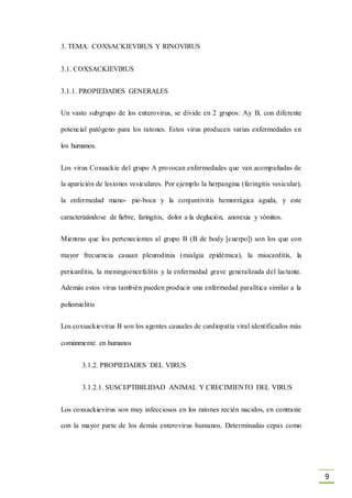 9
3. TEMA: COXSACKIEVIRUS Y RINOVIRUS
3.1. COXSACKIEVIRUS
3.1.1. PROPIEDADES GENERALES
Un vasto subgrupo de los enterovirus, se divide en 2 grupos: Ay B, con diferente
potencial patógeno para los ratones. Estos virus producen varias enfermedades en
los humanos.
Los virus Coxsackie del grupo A provocan enfermedades que van acompañadas de
la aparición de lesiones vesiculares. Por ejemplo la herpangina (faringitis vesicular),
la enfermedad mano- pie-boca y la conjuntivitis hemorrágica aguda, y este
caracterizándose de fiebre, faringitis, dolor a la deglución, anorexia y vómitos.
Mientras que los pertenecientes al grupo B (B de body [cuerpo]) son los que con
mayor frecuencia causan pleurodinia (mialgia epidémica), la miocarditis, la
pericarditis, la meningoencefalitis y la enfermedad grave generalizada del lactante.
Además estos virus también pueden producir una enfermedad paralítica similar a la
poliomielitis
Los coxsackievirus B son los agentes causales de cardiopatía viral identificados más
comúnmente en humanos
3.1.2. PROPIEDADES DEL VIRUS
3.1.2.1. SUSCEPTIBILIDAD ANIMAL Y CRECIMIENTO DEL VIRUS
Los coxsackievirus son muy infecciosos en los ratones recién nacidos, en contraste
con la mayor parte de los demás enterovirus humanos. Determinadas cepas como
 