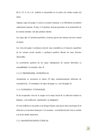 10
B1-6, A7, 9, 16 y 24 también se desarrollan en el cultivo de células renales del
mono.
Algunas cepas del grupo A crecen en amnios humanos y en fibroblasto de pulmón
embrionario humano. El tipo A 14 produce lesiones parecidas en la poliomelitis de
los ratones lactantes este tipo produce miositis.
Las cepas tipo A7 producen parálisis y lesiones graves del sistema nervioso contral
en monos
Los virus del grupo A producen miositis muy extendida en el músculo esquelético
de los ratones recién nacidos y producen parálisis flácida sin otras lesiones
observables.
La constitución genética de las cepas endogámicas de ratones determina su
susceptibilidad al coxsackie virus B.
3.1.2.2. PROPIEDADES ANTIGÉNICAS
Actualmente se reconocen al menos 29 tipos inmunitariamente diferentes de
coxsackievirus; 23 constituyen los tipos del grupo A, y seis del grupo B.
3.1.2. PATOGENIA Y PATOLOGÍA
Se ha recuperado virus de la sangre en la etapa inicial de la infección natural en
humanos y de la infección experimental en chimpancés
El virus también se encuentra en la faringe durante unos pocos días al principio de la
infección y en las heces hasta por 5 a 6 semanas. La distribución del virus es similar
a la de los demás enterovirus.
3.1.3. MANIFESTACIONES CLÍNICAS
 