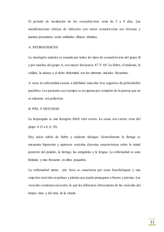 11
El periodo de incubación de los coxsackievirus varía de 2 a 9 días. Las
manifestaciones clínicas de infección con varios coxackievirus son diversas y
pueden presentarse como entidades clínicas distintas.
A. NEUROLÓGICOS
La meningitis aséptica es causada por todos los tipos de coxsackievirus del grupo B
y por muchos del grupo A, con mayor frecuencia A7 Y A9. La fiebre, el malestar, la
cefalea, la náusea y el dolor abdominal son los síntomas iniciales frecuentes.
A veces la enfermedad avanza a debilidad muscular leve sugestiva de poliomielitis
paralítica. Los pacientes casi siempre se recuperan por completo de la paresia que no
se relaciona con poliovirus.
B. PIEL Y MUCOSAS
La herpangina es una faringitis febril viral severa. La causa son ciertos virus del
grupo A (2 a 6, 8, 10).
Hay inicio súbito de fiebre y malestar faríngeo. Generalmente la faringe se
encuentra hiperemia y aparecen vesículas discretas características sobre la mitad
posterior del paladar, la faringe, las amígdalas o la lengua. La enfermedad es auto
limitada y más frecuente en niños pequeños.
La enfermedad mano- pie- boca se caracteriza por ceras bucofaríngeas y una
erupción vesicular en palmas y plantas que puede propagarse a brazos y piernas. Las
vesículas cicatrizan sin costra, lo que las diferencia clínicamente de las vesículas del
herpes virus y del virus de la viruela.
 