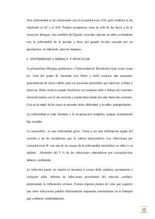 12
Esta enfermedad se ha relacionado con el coxsackievirus A16, pero también se ha
implicado al A5 y al A10. Pueden recuperarse virus no sólo de las heces y de la
secreción faríngea, sino también del líquido vesicular; además no debe confundirse
con la enfermedad de la pezuña y boca del ganado bovino causada por un
picornavirus no infectante para los humanos.
C. ENFERMEDAD CARDIACA Y MUSCULAR
La pleurodinia (Mialgia epidérmica o Enfermedad de Bornholm) tiene como causa
los virus del grupo B, iniciando con fiebre y dolor torácico tipo punzante,
generalmente de inicio súbito, pero en ocasiones precedidos por malestar, cefalea y
anorexia. Dolor torácico puede localizarse en cualquier lado o debajo del esternón,
intensificándose con el movimiento y puede durar desde dos días hasta dos semanas.
Casi en la mitad de los casos se presenta dolor abdominal y en niños principalmente.
La enfermedad es auto limitada y la recuperación completa, aunque comúnmente
hay recaídas.
La miocarditis es una enfermedad grave. Viene a ser una inflamación aguda del
corazón o de las membranas que lo cubren (pericarditis). Las infecciones por
coxsackievirus B son una de las causas de la enfermedad miocárdica en niños y en
adultos. Alrededor del 5 % de las infecciones sintomáticas por coxsackievirus
inducen cardiopatía.
La infección puede ser mortal en neonatos o causar daño cardiaco, permanente a
cualquier edad. Además de infecciones persistentes del músculo cardiaco,
perpetuando la inflamación crónica. Existen algunos puntos de vista que sugieren
que estas infecciones pueden desencadenar respuestas autoinmunes en el huésped
que conducen cardiomiopatías.
 