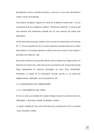 14
precedida por un breve episodio de diarrea y anorexia. A veces esta enfermedad se
contrae a través de la placenta.
Los estudios serológicos sugieren un vínculo de la diabetes mellitus tipo I con los
coxsackievirus B con la hipótesis establece “mimetismo molecular” es causa de que
una respuesta auto inmunitaria inducida por un virus destruya las células beta
pancreáticas.
Se han observado secuencias similares entre un tramo de aminoácidos en la proteína
P2 – C de los coxsackievirus B y la enzima glutamato descarboxilasa de las células
beta humanas. Un concepto alternativo señala la activación “casual” de las células T
por medio de la infección viral.
Hay cierta evidencia de una posible relación entre el síndrome de fatiga crónica y la
infección con enterovirus, sobre todo por los coxsackievirus B. El paciente presenta
fatiga incapacitante de duración prolongada sin causa física identificable.
Finalmente, el agente de la enfermedad vesicular porcina es un enterovirus
antigénicamente relacionado con el coxsackievirus B5.
3.1.4. DIAGNÓSTICO DE LABORATORIO
3.1.4.1. AISLAMIENTO DEL VIRUS
El virus se aísla con facilidad del exudado faríngeo durante los primeros días de la
enfermedad, y de las heces durante las primeras semanas.
La mayor cantidad de virus en las infecciones por coxsackievirus A21 se encuentra
en las secreciones nasales.
 