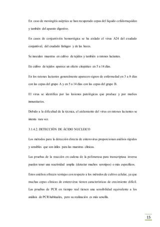15
En caso de meningitis aséptica se han recuperado cepas del líquido cefalorraquídeo
y también del aparato digestivo.
En casos de conjuntivitis hemorrágica se ha aislado el virus A24 del exudado
conjuntival, del exudado faríngeo y de las heces.
Se inoculan muestras en cultivo de tejidos y también a ratones lactantes.
En cultivo de tejidos aparece un efecto citopático en 5 a 14 días.
En los ratones lactantes generalmente aparecen signos de enfermedad en 3 a 8 días
con las cepas del grupo A y en 5 a 14 días con las cepas del grupo B.
El virus se identifica por las lesiones patológicas que produce y por medios
inmunitarios.
Debido a la dificultad de la técnica, el aislamiento del virus en ratones lactantes se
intenta rara vez.
3.1.4.2. DETECCIÓN DE ÁCIDO NUCLEICO
Los métodos para la detección directa de enterovirus proporcionan análisis rápidos
y sensibles que son útiles para las muestras clínicas.
Las pruebas de la reacción en cadena de la polimerasa para transcriptasa inversa
pueden tener una reactividad amplia (detectar muchos serotipos) o más específicos.
Estos análisis ofrecen ventajas con respecto a los métodos de cultivo celular, ya que
muchas cepas clínicas de enterovirus tienen características de crecimiento difícil.
Las pruebas de PCR en tiempo real tienen una sensibilidad equivalente a los
análisis de PCR habituales, pero su realización es más sencilla.
 