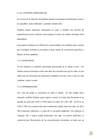 16
3.1.4.3. ESTUDIOS SEROLÓGICOS
En el curso de la infección inicialmente aparecen anticuerpos neutralizantes, tienen a
ser específicos para el infectante y persisten durante años.
También pueden detectarse anticuerpos en suero y titularse con técnicas de
inmunoflourescencia al utilizar como antígeno el cultivo de células infectadas sobre
cubreobjetos.
Las pruebas serológicas son difíciles de evaluar debido a los múltiples tipos a menos
que el antígeno utilizado en la prueba se haya aislado de un paciente específico o
durante un brote epidémico.
3.1.5. INMUNIDAD
En los humanos se transfiere anticuerpos pasivamente de la madre al feto. Los
adultos poseen anticuerpos contra más tipos de coxsackievirus que los niños, lo que
indica que son frecuentes las experiencias múltiples con estos virus y cada vez más
conforme avanza la edad.
3.1.6. EPIDEMIOLOGÍA
Los virus del grupo se encuentran en todo el mundo. Se han aislado heces
humanas, exudado faríngeo, aguas negras y moscas. Los tipos más frecuentes en un
periodo de ocho años (1967 a 1974) fueron los tipos A9 y B2 a B5. En EUA, de
1993 a 1996, los coxsackievirus más comúnmente aislado fueron los tipos A9, B2 y
B4 en patrones endémicos y el tipo B5 en un patrón epidémico. Sin embargo en
cualquier año o región, puede predominar otro tipo. Un patrón epidémico se
caracteriza por fluctuaciones de las concentraciones circulantes, en tanto que un
 