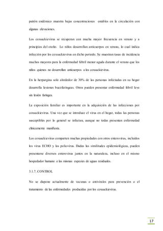 17
patrón endémico muestra bajas concentraciones estables en la circulación con
algunas elevaciones.
Los coxsackievirus se recuperan con mucha mayor frecuencia en verano y a
principios del otoño. Lo niños desarrollan anticuerpos en verano, lo cual indica
infección por los coxsackievirus en dicho periodo. Se muestran tasas de incidencia
muchos mayores para la enfermedad febril menor aguda durante el verano que los
niños quienes no desarrollan anticuerpos a los coxsackievirus.
En la herpargina solo alrededor de 30% de las personas infectadas en su hogar
desarrolla lesiones bucofaríngeas. Otros pueden presentar enfermedad febril leve
sin lesión faríngea.
La exposición familiar es importante en la adquisición de las infecciones por
coxsackievirus. Una vez que se introduce el virus en el hogar, todas las personas
susceptibles por lo general se infectan, aunque no todas presentan enfermedad
clínicamente manifiesta.
Los coxsackievirus comparten muchas propiedades con otros enterovirus, incluidos
los virus ECHO y los poliovirus. Dadas las similitudes epidemiológicas, pueden
presentarse diversos enterovirus juntos en la naturaleza, incluso en el mismo
hospedador humano o las mismas especies de aguas residuales.
3.1.7. CONTROL
No se dispone actualmente de vacunas o antivirales para prevención o el
tratamiento de las enfermedades producidas por los coxsackievirus.
 