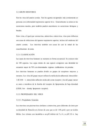 18
3.2. GRUPO RINOVIRUS
Son los virus del catarro común. Son los agentes recuperados más comúnmente en
personas con enfermedad respiratoria superior leve. Generalmente se aíslan en las
secreciones nasales, pero también pueden encontrarse en secreciones faríngeas y
bucales.
Estos virus, al igual que coronavirus, adenovirus, enterovirus, virus para influenza
son causa de infecciones del aparato respiratorio superior, incluso del síndrome del
catarro común. Los rinovirus también son causa de casi la mitad de las
exacerbaciones de asma.
3.2.1. CLASIFICACIÓN
Las cepas de rinovirus humanos se numeran en forma secuencial. Se conocen más
de 100 especies. Las cepas dentro de una especie comparten una identidad de
secuencia mayor de 70% con determinadas regiones codificadoras de proteína.
Los rinovirus humanos se pueden dividir en grupos de receptores mayores y
menores. Los virus del grupo mayor utilizan la molécula de adherencia intercelular-
1 (ICAM – 1, intercelular adhesión molecule) como receptor y los del grupo menor
se unen a miembros de la familia del receptor de lipoproteína de baja densidad
(LDLR, low – density lipoprotein receptor).
3.2.2. PROPIEDADES DEL VIRUS
3.2.2.1. Propiedades Generales
Los rinovirus son picornavirus similares a enterovirus, pero diferentes de éstos por
su densidad de flotación en cloruro de ceso que es de 1.40 g/ml y por ser ácidos
lábiles. Los viriones son inestables a un pH inferior de 5 a 6 y a pH 3.0 si hay
 