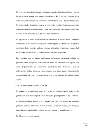 20
El virus entra a través del aparato respiratorio superior. Los títulos altos de virus en
las secreciones nasales, que pueden encontrarse a los 2 a 4 días después de la
exposición, se relacionan con enfermedad importante máxima . A partir de entonces
los títulos virales descienden, aunque la enfermedad persiste. En algunos casos aún
se detectan virus a las tres semanas. Existe una correlación directa entre la cantidad
de virus en las secreciones y la gravedad de la enfermedad.
La replicación se limita a la superficie del epitelio de la mucosa nasal. La biopsia
demuestra que los cambios histológicos se restringen a la submucosa y al epitelio
superficial. Estos cambios incluyen edema e infiltración celular leve. La cantidad
de secreción nasal aumenta y también su concentración de proteína.
Los rinovirus rara vez causan enfermedad del aparato respiratorio inferior en
personas sanas, aunque se relacionan casi todas las exacerbaciones agudas del
asma. Experimentos en condiciones controladas han demostrado que el
enfriamiento, incluso el uso de ropas mojadas, no produce catarro ni aumenta la
susceptibilidad al virus. La sensación de frío es un síntoma inicial del catarro
común.
3.2.4. MANIFESTACIONES CLÍNICAS
El periodo de incubación es breve, de 2 a 4 días, y la enfermedad aguda por lo
general dura siete días aunque la tos no productiva puede persistir de 2 a 3 semanas.
El adulto promedio padece 1 a 2 ataques cada año. En adultos los síntomas
generales incluyen estornudos, obstrucción nasal, secreción nasal y dolor faríngeo;
otros síntomas pueden incluir cefalea, tos leve, malestar y sensación de frío.
La fiebre es leve o está ausente.
 