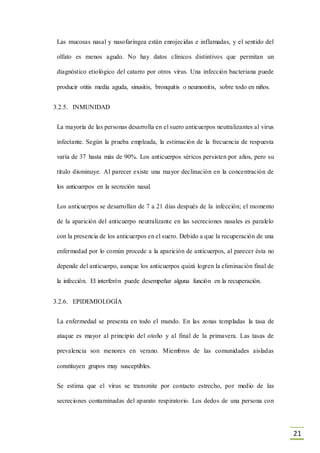 21
Las mucosas nasal y nasofaríngea están enrojecidas e inflamadas, y el sentido del
olfato es menos agudo. No hay datos clínicos distintivos que permitan un
diagnóstico etiológico del catarro por otros virus. Una infección bacteriana puede
producir otitis media aguda, sinusitis, bronquitis o neumonitis, sobre todo en niños.
3.2.5. INMUNIDAD
La mayoría de las personas desarrolla en el suero anticuerpos neutralizantes al virus
infectante. Según la prueba empleada, la estimación de la frecuencia de respuesta
varía de 37 hasta más de 90%. Los anticuerpos séricos persisten por años, pero su
título disminuye. Al parecer existe una mayor declinación en la concentración de
los anticuerpos en la secreción nasal.
Los anticuerpos se desarrollan de 7 a 21 días después de la infección; el momento
de la aparición del anticuerpo neutralizante en las secreciones nasales es paralelo
con la presencia de los anticuerpos en el suero. Debido a que la recuperación de una
enfermedad por lo común procede a la aparición de anticuerpos, al parecer ésta no
depende del anticuerpo, aunque los anticuerpos quizá logren la eliminación final de
la infección. El interferón puede desempeñar alguna función en la recuperación.
3.2.6. EPIDEMIOLOGÍA
La enfermedad se presenta en todo el mundo. En las zonas templadas la tasa de
ataque es mayor al principio del otoño y al final de la primavera. Las tasas de
prevalencia son menores en verano. Miembros de las comunidades aisladas
constituyen grupos muy susceptibles.
Se estima que el virus se transmite por contacto estrecho, por medio de las
secreciones contaminadas del aparato respiratorio. Los dedos de una persona con
 