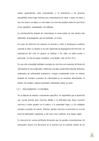 22
catarro generalmente están contaminados y la transmisión a las personas
susceptibles tienen lugar entonces por contaminación de mano a mano, de mano a
ojo o de mano a un objeto y a otra mano. Los rinovirus pueden sobrevivir por horas
en las superficies contaminadas del ambiente.
La autoinoculación después de contaminarse la mano puede ser una manera más
importante de propagación que por partículas en el aire.
Las tasas de infección son mayores en lactantes y niños y disminuyen conforme
aumenta la edad. La familia es un sitio importante de propagación del rinovirus. La
introducción del virus en general se atribuye a los niños en edad escolar o
preescolar. La tasa de ataque secundario en la familia varía de 30 a 70 %.
En una sola comunidad múltiples serotipos de rinovirus son causantes de brotes de
enfermedad en una temporada y diferentes serotipos predominan durante diferentes
temporadas de enfermedad respiratoria. Aunque comúnmente existe un número
limitado de serotipos causantes de enfermedad en un momento determinado, el
número de serotipos capaces de producir enfermedad puede ser vasto.
3.2.7. TRATAMIENTO Y CONTROL
No se dispone de método o tratamiento específico. Es improbable que se desarrolle
una vacuna potente para rinovirus debido a la dificultad para hacer crecerlos
rinovirus a títulos grandes en el cultivo, a la inmunidad fugaz y a los múltiples
serotipos causantes de catarro. Además, muchos rinovirus se presentan en un solo
brote de enfermedad respiratoria y sólo raras veces recidivan en la misma región.
La inyección de vacuna purificada demuestra que las grandes concentraciones de
anticuerpos séricos con frecuencia no se asocian con un aumento similar de los
 