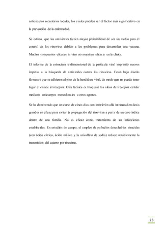 23
anticuerpos secretorios locales, los cuales pueden ser el factor más significativo en
la prevención de la enfermedad.
Se estima que los antivirales tienen mayor probabilidad de ser un medio para el
control de los rinovirus debido a los problemas para desarrollar una vacuna.
Muchos compuestos eficaces in vitro no muestran eficacia en la clínica.
El informe de la estructura tridimensional de la partícula viral imprimió nuevos
ímpetus a la búsqueda de antivirales contra los rinovirus. Están bajo diseño
fármacos que se adhieren al piso de la hendidura viral, de modo que no pueda tener
lugar el enlace al receptor. Otra técnica es bloquear los sitios del receptor celular
mediante anticuerpos monoclonales u otros agentes.
Se ha demostrado que un curso de cinco días con interferón alfa intranasal en dosis
grandes es eficaz para evitar la propagación del rinovirus a partir de un caso índice
dentro de una familia. No es eficaz como tratamiento de las infecciones
establecidas. En estudios de campo, el empleo de pañuelos desechables virucidas
(con ácido cítrico, ácido málico y la urisulfato de sodio) reduce notablemente la
transmisión del catarro por rinovirus.
 