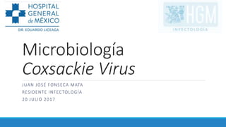 Microbiología
Coxsackie Virus
JUAN JOSÉ FONSECA MATA
RESIDENTE INFECTOLOGÍA
20 JULIO 2017
 