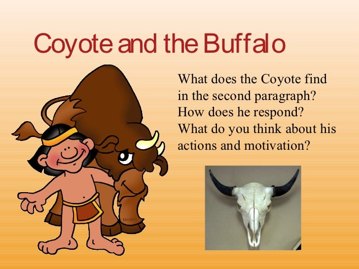 coyote and the buffalo