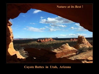 Coyote buttes in_utah_arizona_