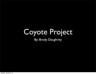 Coyote Project
                            By: Brody Daughrity




Tuesday, January 8, 13
 
