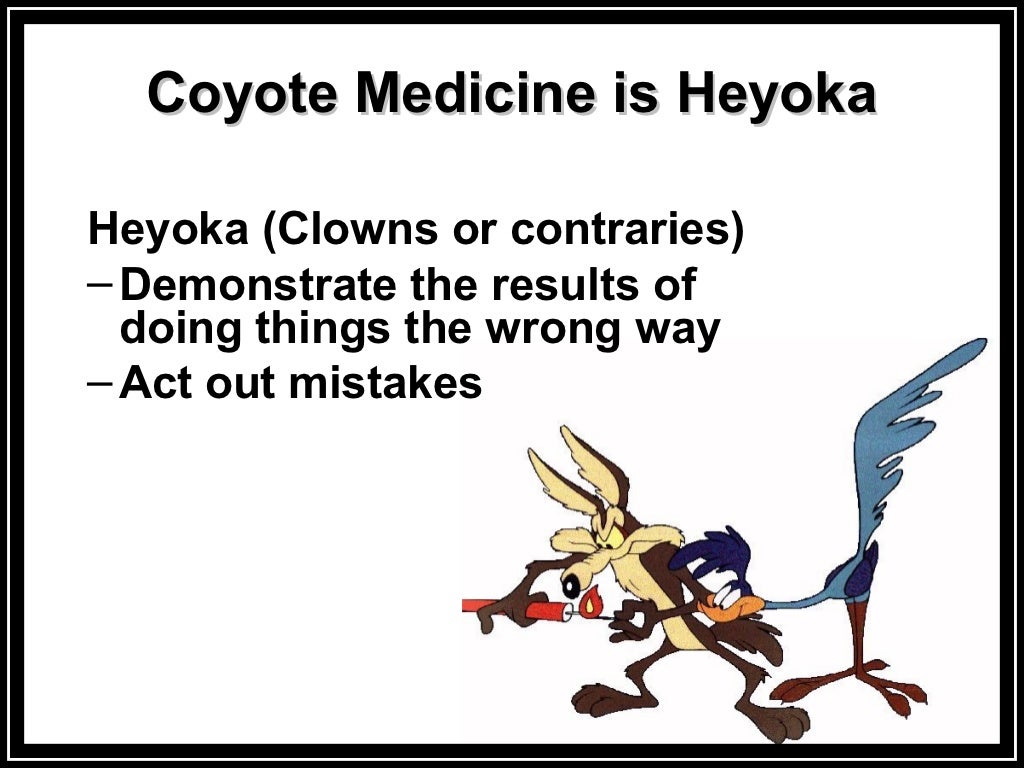 Coyote medicine